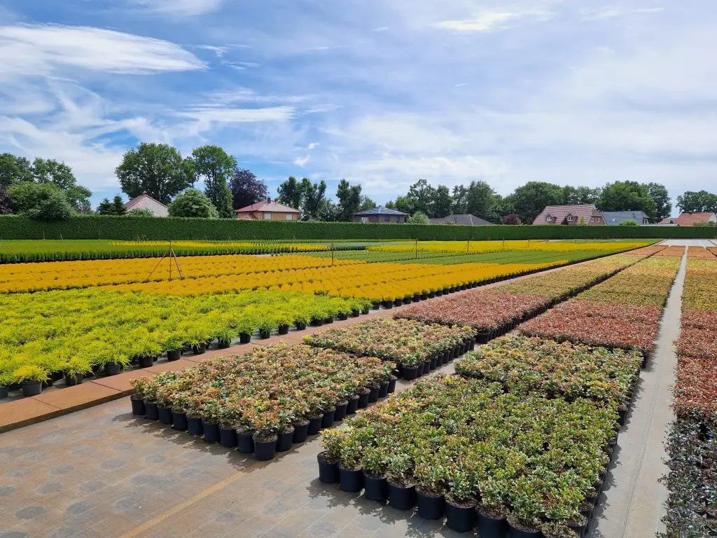 Container Nursery trails