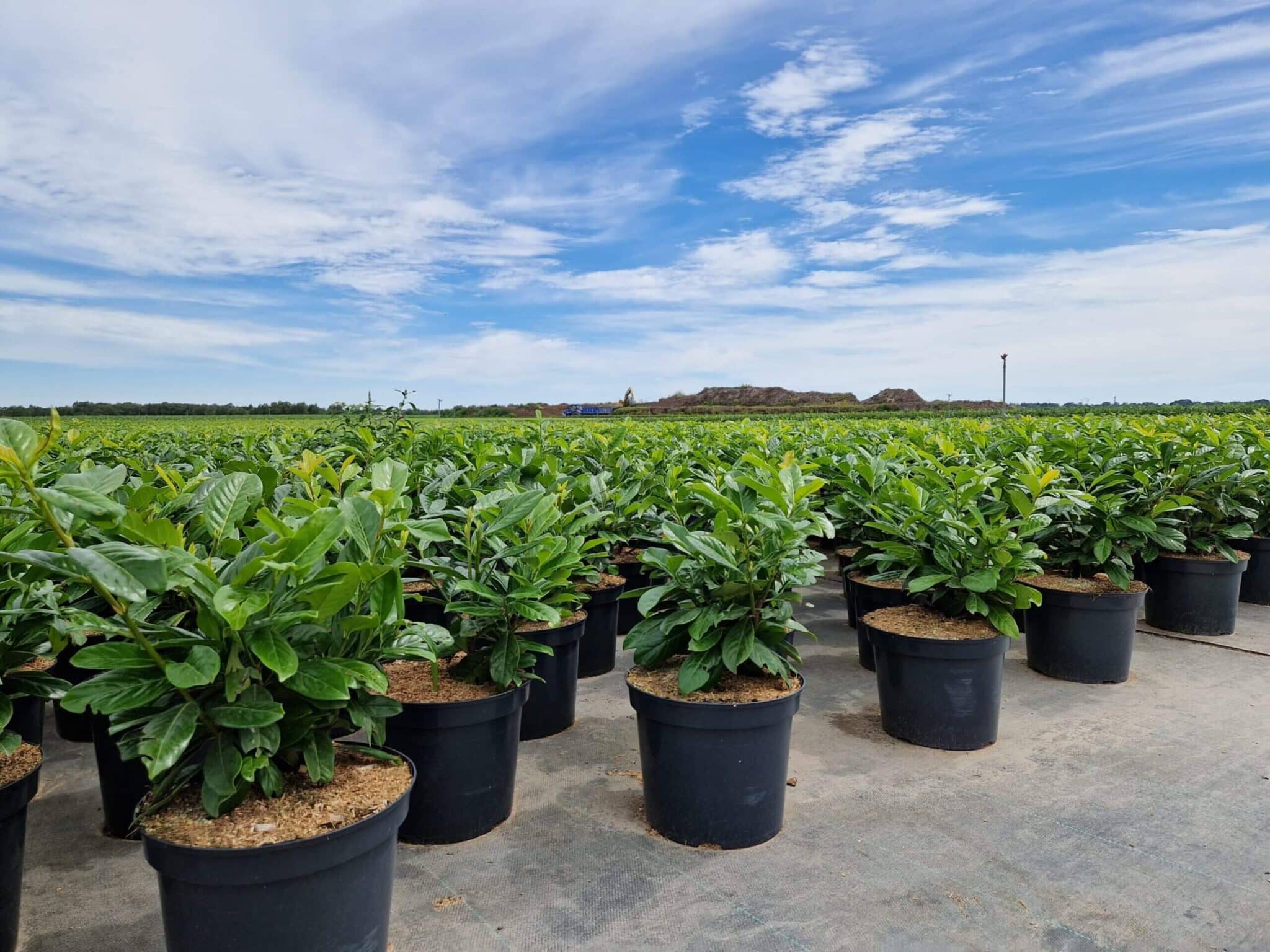 Afbeelding van WhatsApp op 2025-07-10 om 16.11.45_ceeafc9c