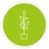 Container nursery icon