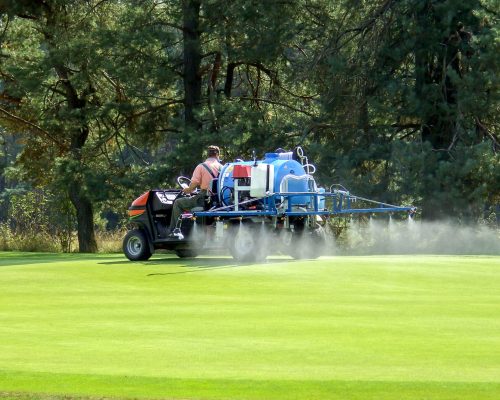 Shot,Of,The,Employee,Performing,Maintenance,On,The,Golf,Green.