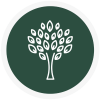 Tree Nursery