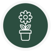 Container Ornamentals